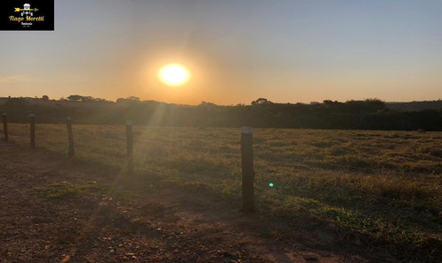 Imagem 7 de 21 de Excelente Chácara À Venda No Bairro Jerivá Boituva-sp - Ch00156 - 69834640