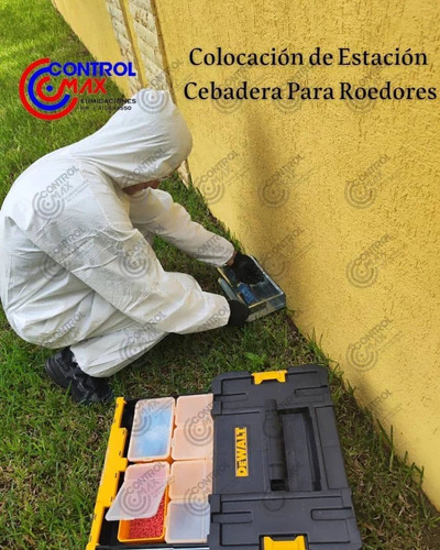 Servicio De Fumigacion Chiripas Pulgas Termitas Acaros
