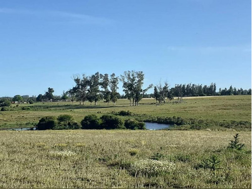 Chacra En Ruta 104, Pagos De La Paja