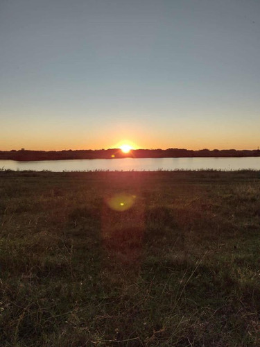 Imagen 19 de 19 de Campo En Venta - 101 Hectáreas - Pinamar