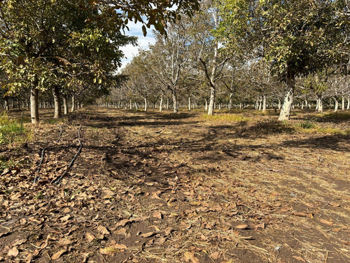 Parcela En Venta En Calera De Tango