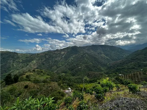 Se Vende Finca En Barragán