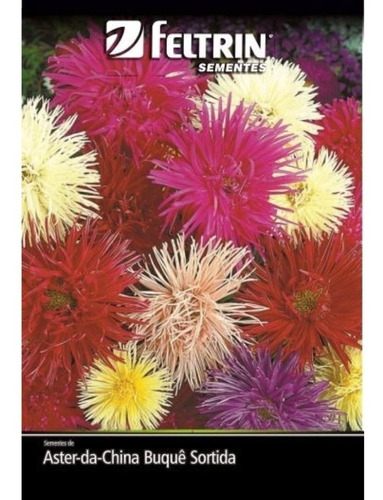 Sementes De Aster Da China Buque Sortida Unicum / Flor