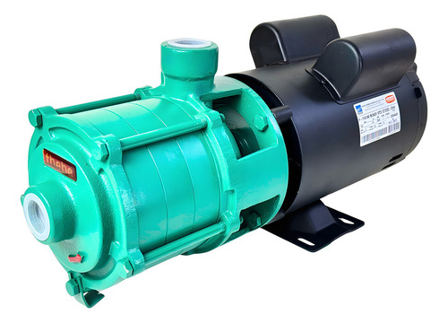 Bomba Irrigação Multiestagio Thebe P-11/4 Nr 3cv 127/220-254 127/220v