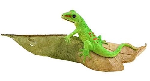 Imagen 1 de 4 de Coleccion Top Miniature Fairy Garden Y Terrarium Day Gecko