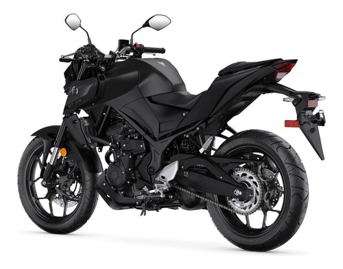 Imagen 9 de 25 de Motocicleta - Yamaha - Mt-03 A