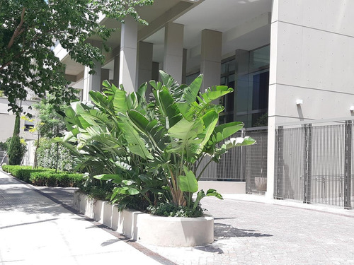 Imagen 3 de 22 de Weik Belgrano - Unidad 4 Ambientes En Venta A Estrenar - Torre Arcos