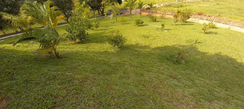 Imagem 1 de 14 de Graça De Chácara Em Salesópolis!!!