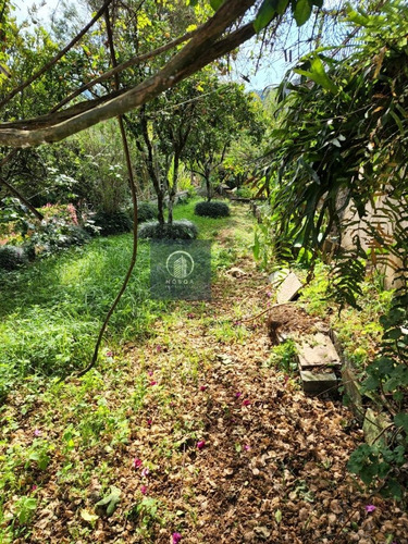 Imagem 22 de 30 de Casa Para Alugar No Bairro Fazendinha Em Teresópolis - Rj. - Ca-7032-2