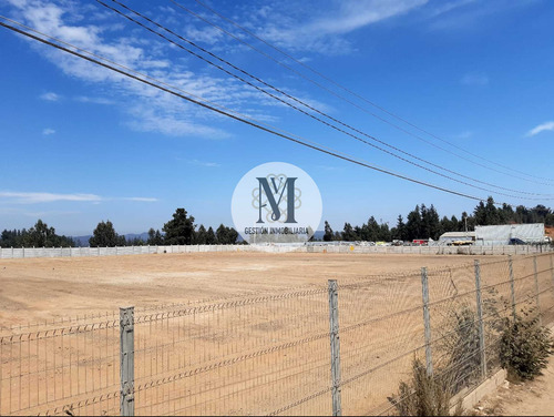 Se Arrienda Terreno Placilla 10.000 M2 (93592)