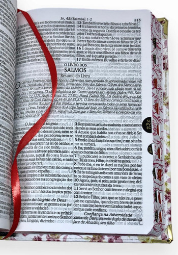 Bíblia Feminina Evangélica Letra Gigante Com Harpa Avivada E Índice Jovem Na Promoção - Jardim Rosa Linguagem Almeida Revista E Corrigida