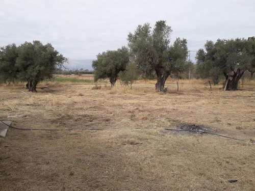 Imagen 2 de 16 de Campo En San Pedro Traslasierras. 4 Has Casa Y Galpon