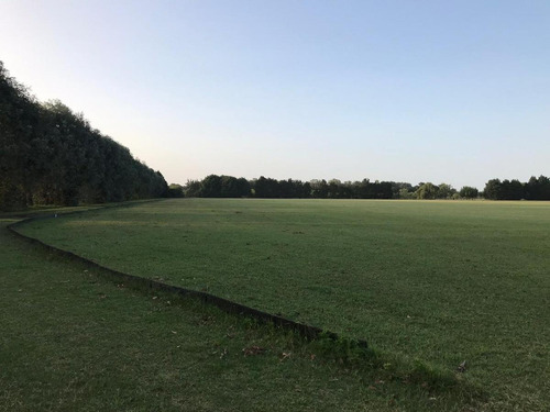Imagen 9 de 16 de Chacra En Venta Y/o En Alquiler En Manzanares - Pilar
