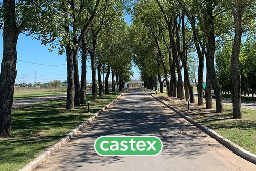 Lote En Venta En La Alameda