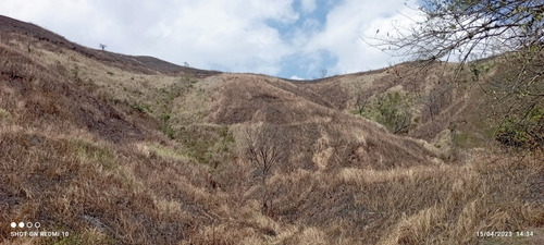 Jc - Terreno 8.000 M2. Alquiler O Venta. Frente A La Autopista Regional Del Centro - Paracotos. Edo Miranda