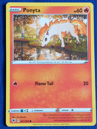 Ponyta Basic Pokémon No.077 021/189  Nintendo 2022