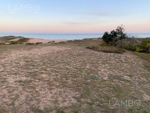 Imagen 3 de 11 de Venta-terreno-uruguay-punta Del Este-ocean Park