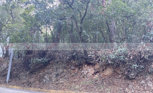 Bosques De San Angel S. Palmillas