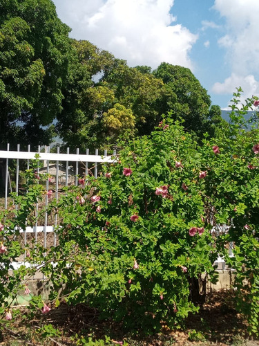 Vendo Enorme Casa De Dos Nivel En Santiago A Una Esquina De La Circunvalación Norte, República Dominicana