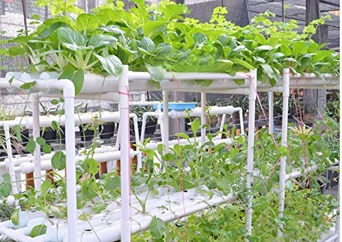 36 Hoyos Sitio Crecer Kit Profundo Agua Cultura Jardin Sist