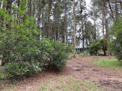 Imagen 3 de 12 de En Venta Terreno - Mar De Las Pampas - Oportunidad.