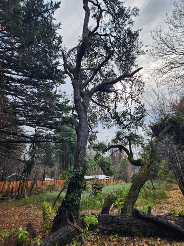 Lote En Venta Bariloche