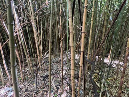 Terreno En Merlo Centro