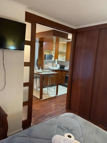 Comodos Departamentos En Bellas Artes