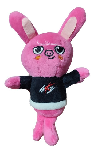 Llavero Stray Kids Peluche Skzoo K-pop Varios Diseñoss