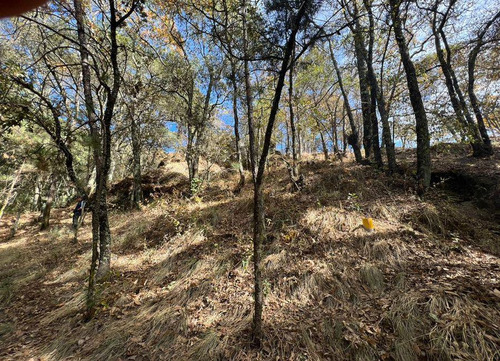 Lote En Venta , Excelente Ubicacion , En Fracc. Bosques Zumate