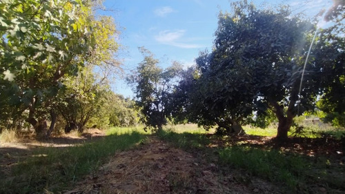 Venta Parcela Camino La Estancillla - Viluco - Buin