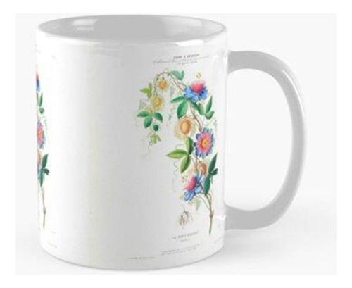 Taza Vintage Botánico Le Marie Gougeat Flore D Amerique Cali