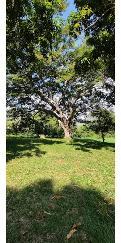 Venta De Lote En Sopetran