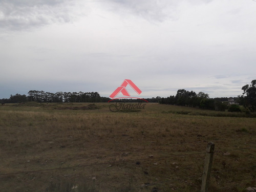 Chacra De 8 Hás En Venta!- Ref: 1701