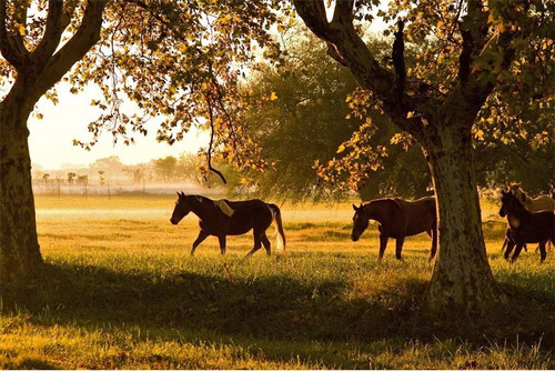 Venta Lote. Estancia Villa Maria