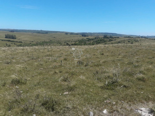 Imagen 13 de 16 de Campo En Carape - Departamento De Maldonado - Carape