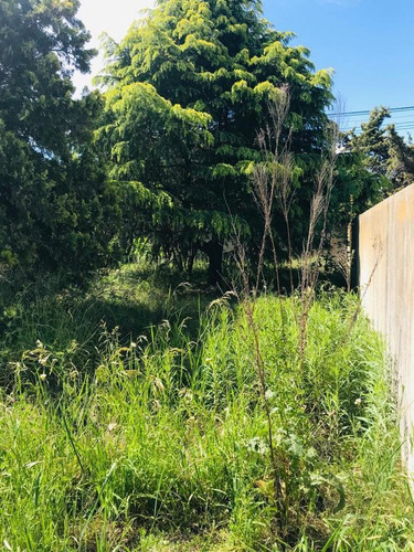 Imagen 2 de 7 de Terreno Venta 10 X 30 Mts - 300 Mts 2 Totales - Manuel B Gonnet