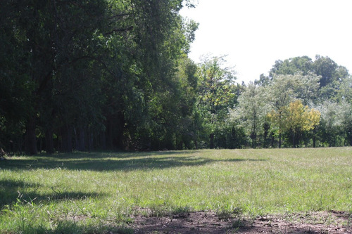 Imagen 21 de 30 de Terreno Lote En Venta Ubicado En Zelaya, Pilar, G.b.a. Zona Norte