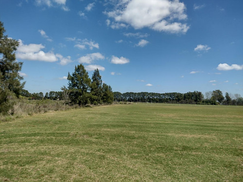 Imagen 2 de 30 de Campo En Venta Zona Polo, Pilar, Con 2 Canchas De Polo Y Varias Mejoras