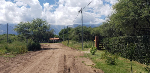 Imagen 8 de 9 de Hermoso Lote En Esquina Con Arboles De Gran Porte!!!!!!