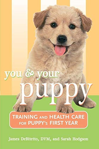 You And Your Puppy Training And Health Care For Your Puppys 