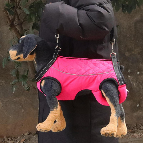 Arnés De Apoyo For Perros Accesorios For Mascotas Strip L