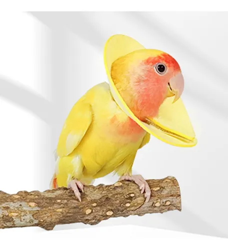 2 Collar Antimordeduras Para Loros, Desplume De Plumas Sg