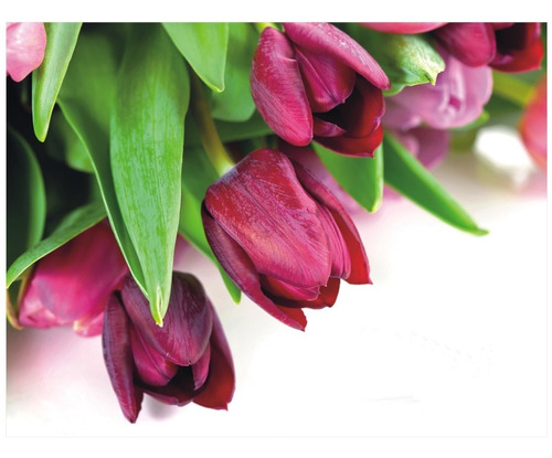 Papel De Parede Floral Flores Painel Gg Tulipa Adesivo 63