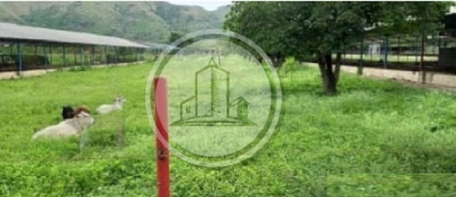 Imagen 1 de 6 de Granja Avicola En Venta En San Francisco De Asis Edo Aragua 020jsc