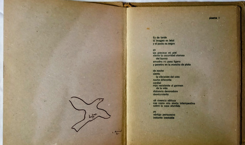 Espacio Del Espacio Maka / Pedro Coronel / Juan Soriano (Usado)