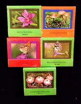 Comprar Colección Cajas De Fósforos  Fauna Y Flora Del Alto Aragón