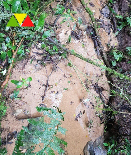 Imagem 15 de 22 de Chácara Serrinha - Ch00085 - 34982956