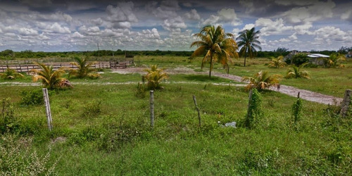 Imagen 5 de 8 de Venta De Terrenos En Celestun