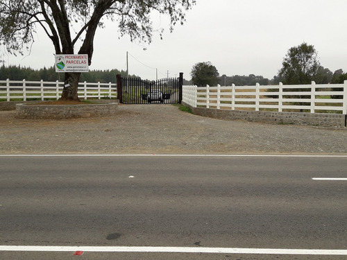 Parcela 5000 M2 Lago Ranco